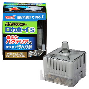 WFbNXJ{[CSoNeAp[ [trmt]