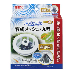 WFbNX_JC琬bVی^Yt1Zbg [trmt]