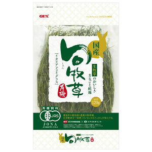 y̔\mFzWFbNX{qC^ACOX120g [trmt]