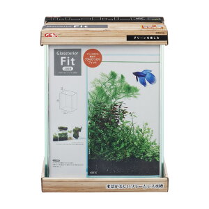 WFbNXOXeAtBbg200H [trmt]