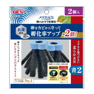 WFbNX_JĈY2 [trmt]