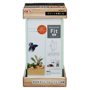 WFbNXOXeAtBbg100 [trmt]