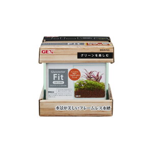 WFbNXOXeAtBbg100CUBE [trmt]