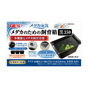 WFbNX_JC_Ĵ߂̎甠35035cm [trmt]