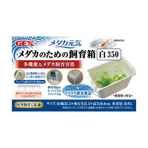 WFbNX_JC_Ĵ߂̎甠35035cm [trmt]