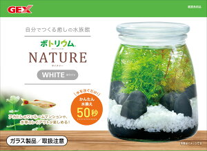 WFbNX{gElC`[ZbgzCg [trmt]