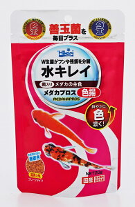 Vt\N_JvXFg20g [trmt]