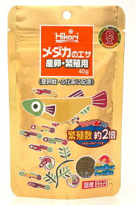 Ђ胁_J̃GTYɐBp40g [trmt]