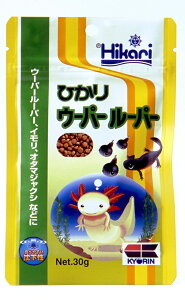 Hikari ЂE[p[[p[30g [trmt]