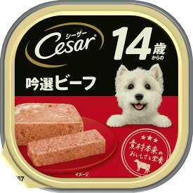 シーザー14歳からの吟選ビーフ100g ドッグフード 缶詰 ウェットフード 食欲 シニア犬 DHA配合[trmt]
