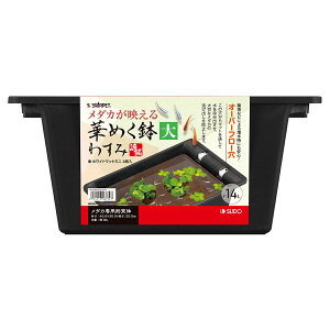 X^[ybg؂߂킷 [trmt]