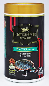 ЂJvXv~AXeBbN200g [trmt]