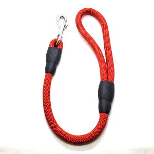 LEADOGۃV[g[h12AJ [trmt]