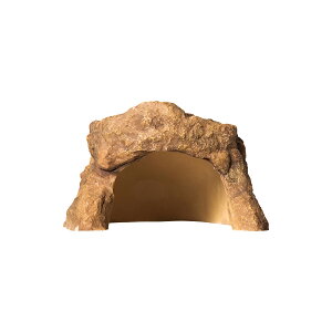 y9/10I|Cgő8{Izn[vNtgbNVF^[SPML [trmt]