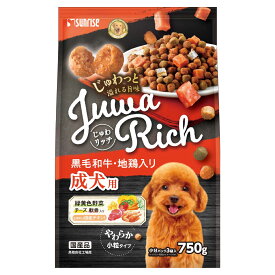 じゅわリッチ黒毛和牛・地鶏入り750g [trmt]