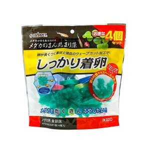 X^[ybg_Ĵ܂ۂ܂葔4 [trmt]