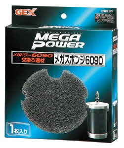 WFbNXKX|W6090p1 [trmt]