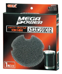 WFbNXKX|W9012p1 [trmt]