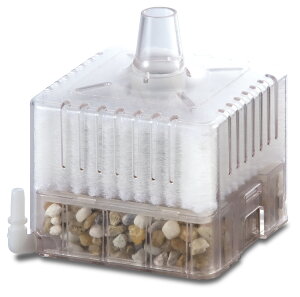 WFbNXJ{[CSRS-1 [trmt]