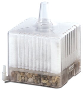 WFbNXJ{[CMRM-1 [trmt]