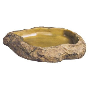 WFbNXtB[fBOfBbVS [trmt]