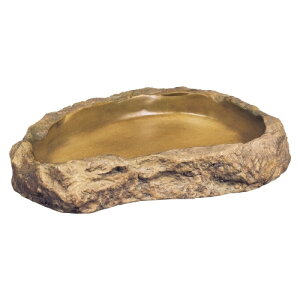 WFbNXtB[fBOfBbVM [trmt]