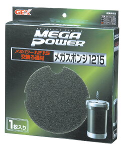 WFbNXKX|W1215p1 [trmt]