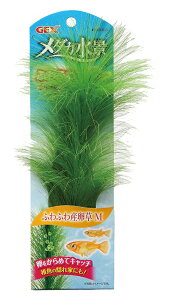 WFbNX_JiӂӂYM [trmt]