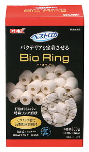 WFbNXxXgJoCIO800g [trmt]