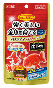 WFbNXCvoCIp[t[h70g [trmt]