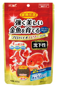 WFbNXCvoCIp[t[h2g [trmt]