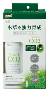 WFbNXyCO2X^[^[Zbg [trmt]