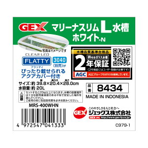 WFbNX}[iXLzCg [trmt]