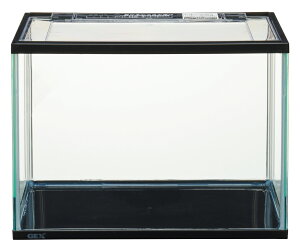 WFbNX}[iMubNubN [trmt]