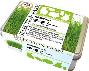 ZNVt@[q͔|Zbg`V[1 [trmt]