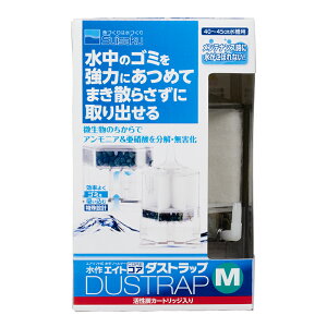 GCgGCgRA_XgbvM [trmt]