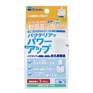 GCgGCgRAMZ~bNJ[gbW [trmt]