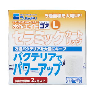 GCgGCgRALZ~bNJ[gbW [trmt]