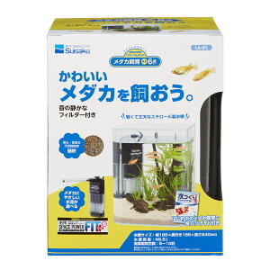 gANAE_J{6_Zbg [trmt]