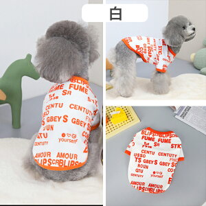 ̕ ̗m^^tĕH~n_炩nLkyA`V[Y}`[Y_bNXthpN@LoA@`FbN