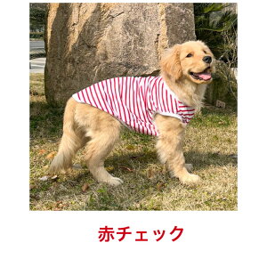 mpVcăVcn莇O΍⊴傫ڃTCYMǑ΍Ђ萶ntpĕ⊴n悯^A^@ybg@hbOEGAAN[