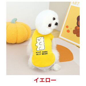 ̕̕pVc̕hbOEGApmĕăVc_炩n^^@tĕHgCv[h`_bNXtg~j`A_bNX}`[