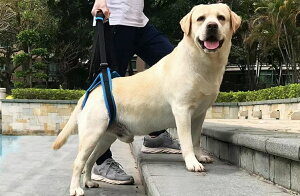 VVjA pi 둫 n[lX @アɓ񒣂T|[g@Ԃ̎@Kio莞