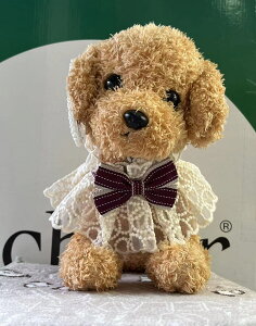 pX^C̕ANZT[mybgpւ悾ꂩX^CpX^CLpX^CtX^CăX^CtX^C~X^CgCv[hX^C`X^C}`[YX^C~j`A_