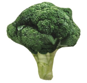 piubR[u[u[o