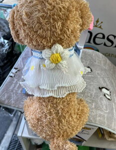 pX^C̕ANZT[mybgpւ悾ꂩX^CpX^CLpX^CtX^CăX^CtX^C~X^CgCv[hX^C`X^C}`[YX^C~j`A_