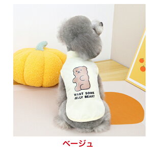 ̕̕pVc̕hbOEGApmĕăVc_炩n^^@tĕHgCv[h`_bNXtg~j`A_bNX}`[