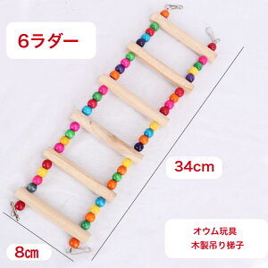 piAp@VR؃ZLZCCRI`@^̃CRAq6_[@IEߋ@ObŶ@ނXgX