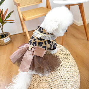 ̕t~HnӂӂhXs[XXJ[g`}`[YgCv[hČ