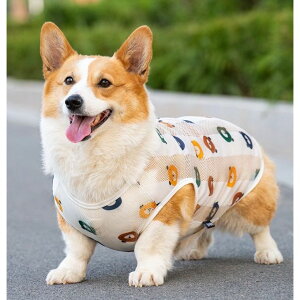 ̕^^^gCv[hČ~j`A_bNX